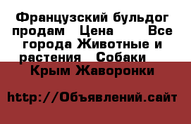 Французский бульдог продам › Цена ­ 1 - Все города Животные и растения » Собаки   . Крым,Жаворонки